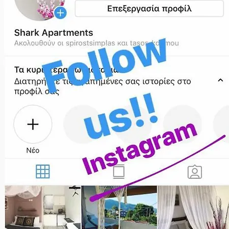 Shark * Skala Potamia (Thasos)