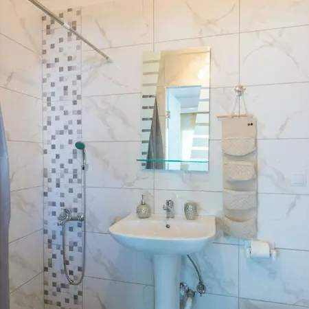 Shark Skala Potamia (Thasos)